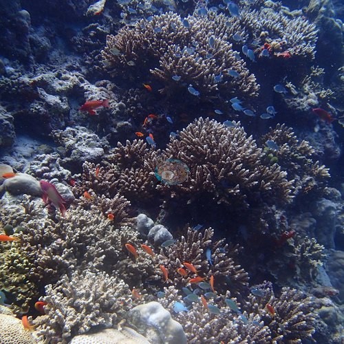 Image 11