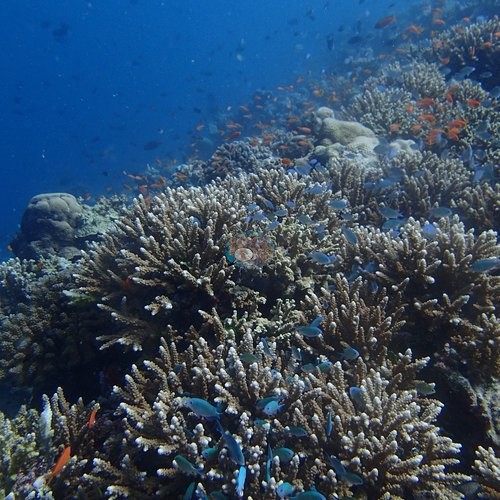 Image 13