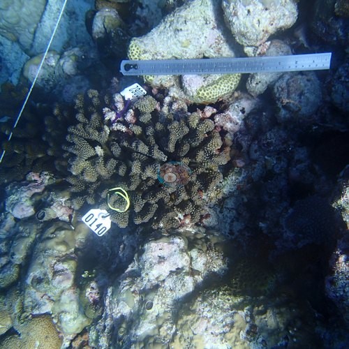 Image 18