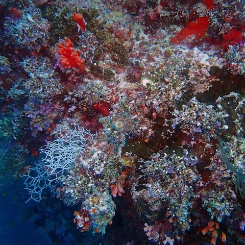 Image 9