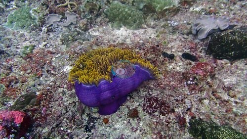 Image 13