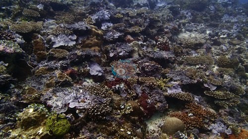 Image 12