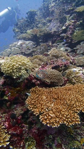 Image 13
