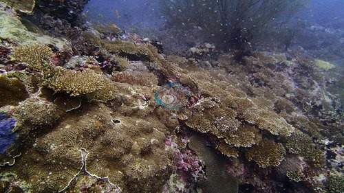 Image 14