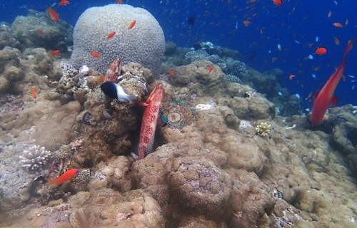Image 23