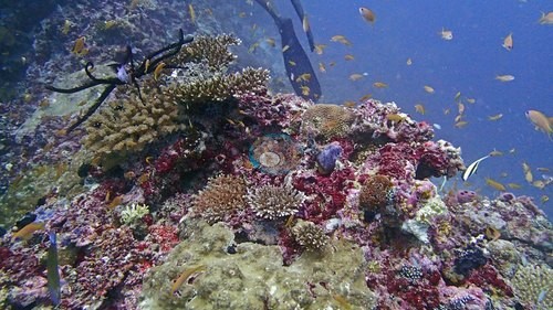 Image 8