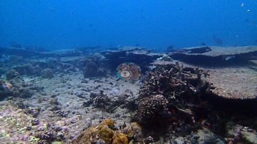 Image 18