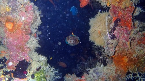 Image 12
