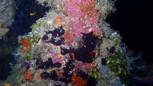 Image 13