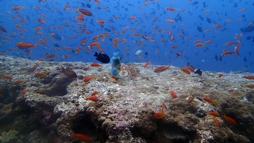 Image 12