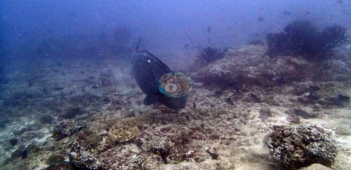Image 6