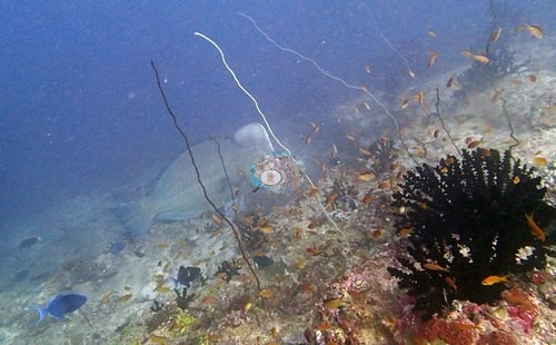 Image 9