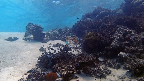 Image 10