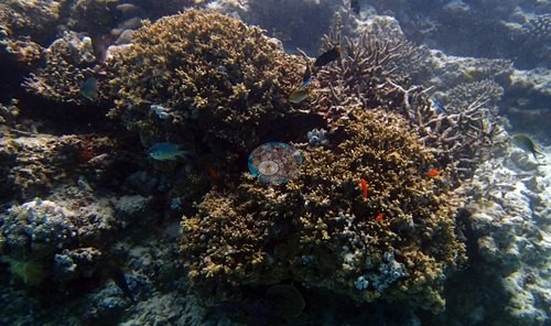 Image 12