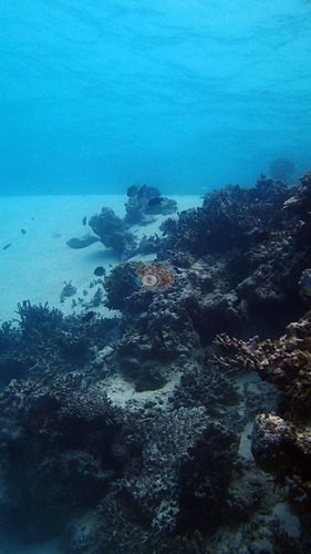 Image 13
