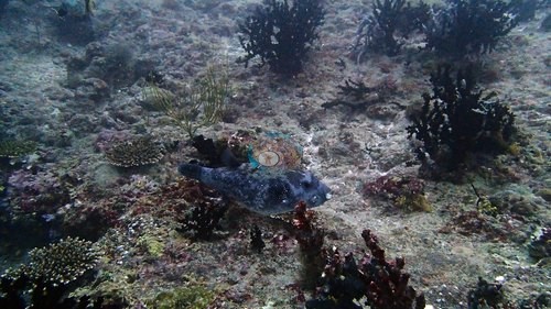 Image 12