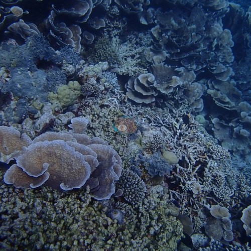 Image 18