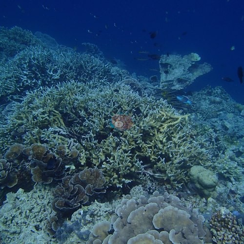 Image 23