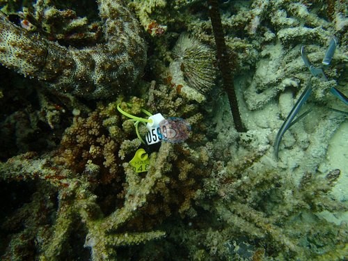 Image 8
