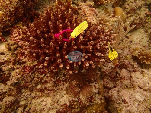 Image 10
