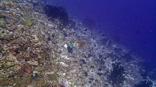 Image 10