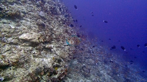 Image 12