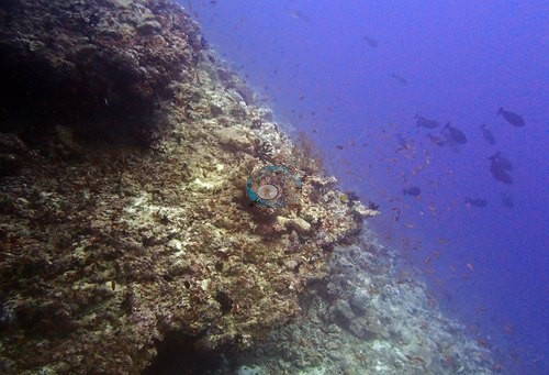 Image 14