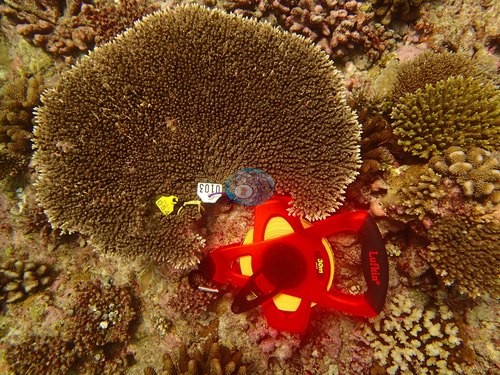 Image 8