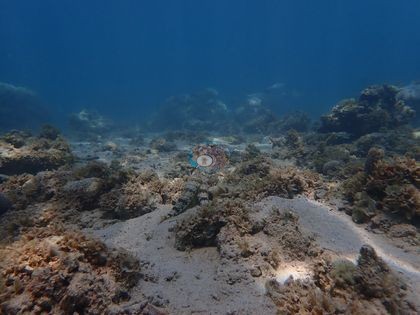 Image 18