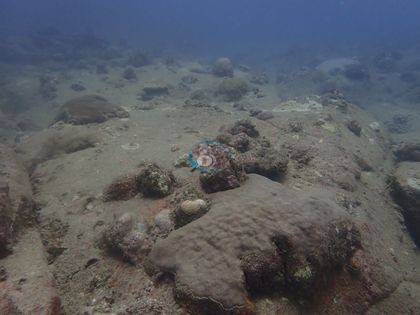 Image 18