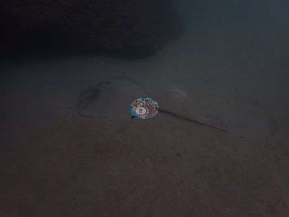 Image 10