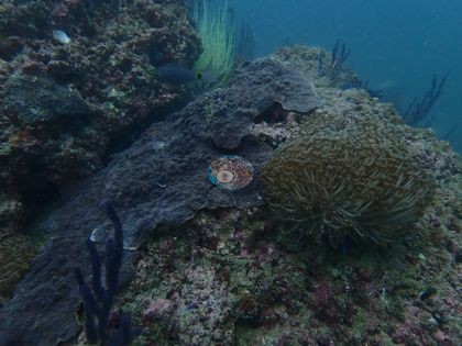 Image 12