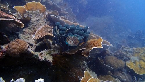 Image 13