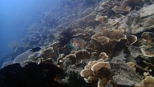 Image 18