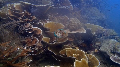 Image 22