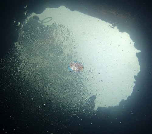 Image 11