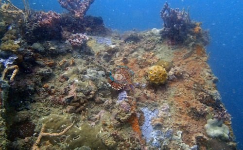 Image 3