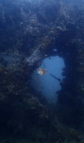 Image 7