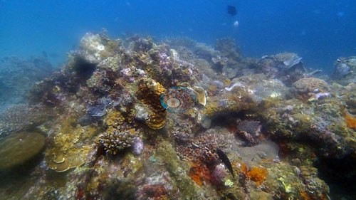 Image 11