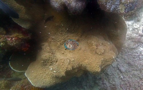 Image 13