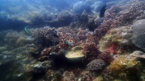 Image 17