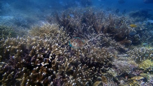 Image 8