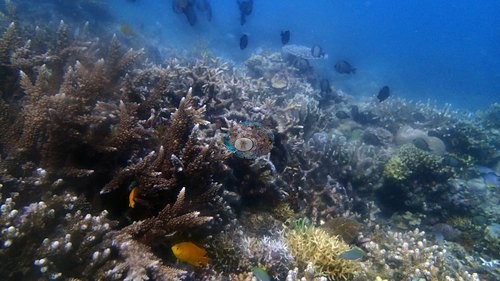 Image 9