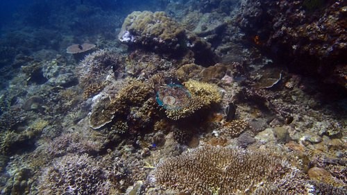 Image 13