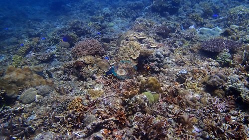 Image 14