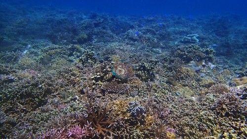 Image 22