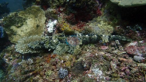 Image 23