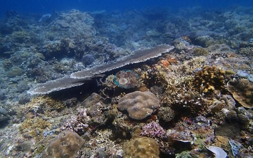 Image 9