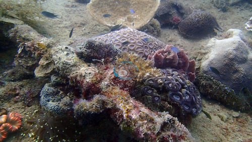Image 15