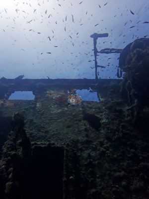 Image 6
